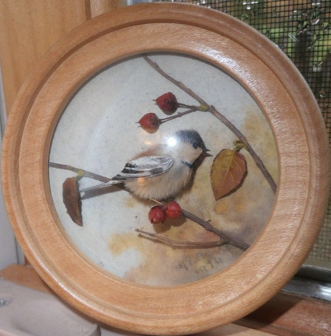 Chestnut Backed Chickadee